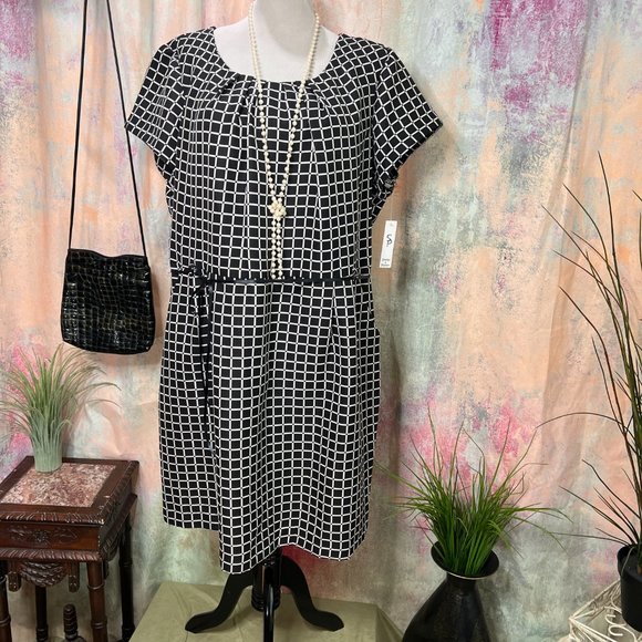 NWT๐Shelby & Palmer Dash - Dot Clean Lines Work to Weekend Dress with Pockets - Picture 1 of 16